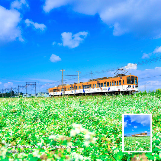 Ohmi Railway in Taga-Taisha, JP